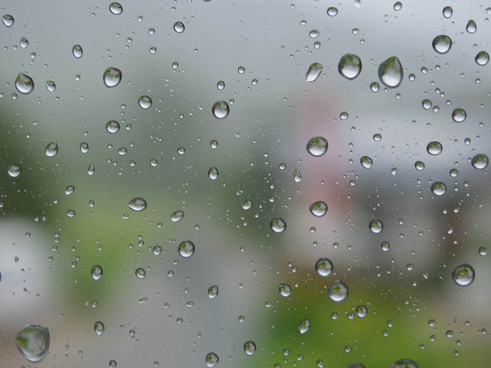 Panasonic Lumix DC-G9 sample photo. Drip, rain, water photography