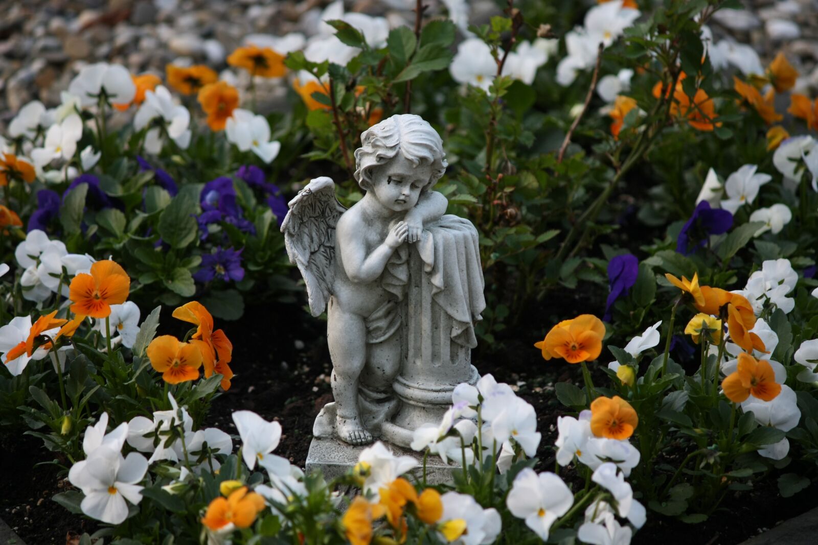 Canon EOS 450D (EOS Rebel XSi / EOS Kiss X2) sample photo. Cemetery, angel, mourning photography