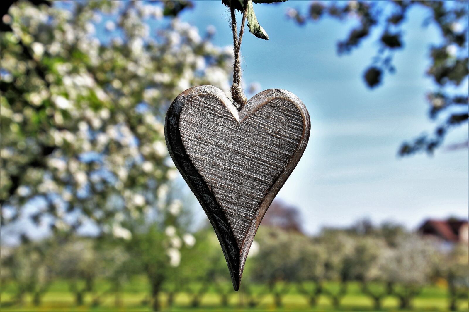 Canon EOS 80D sample photo. Sad, heart, spring photography