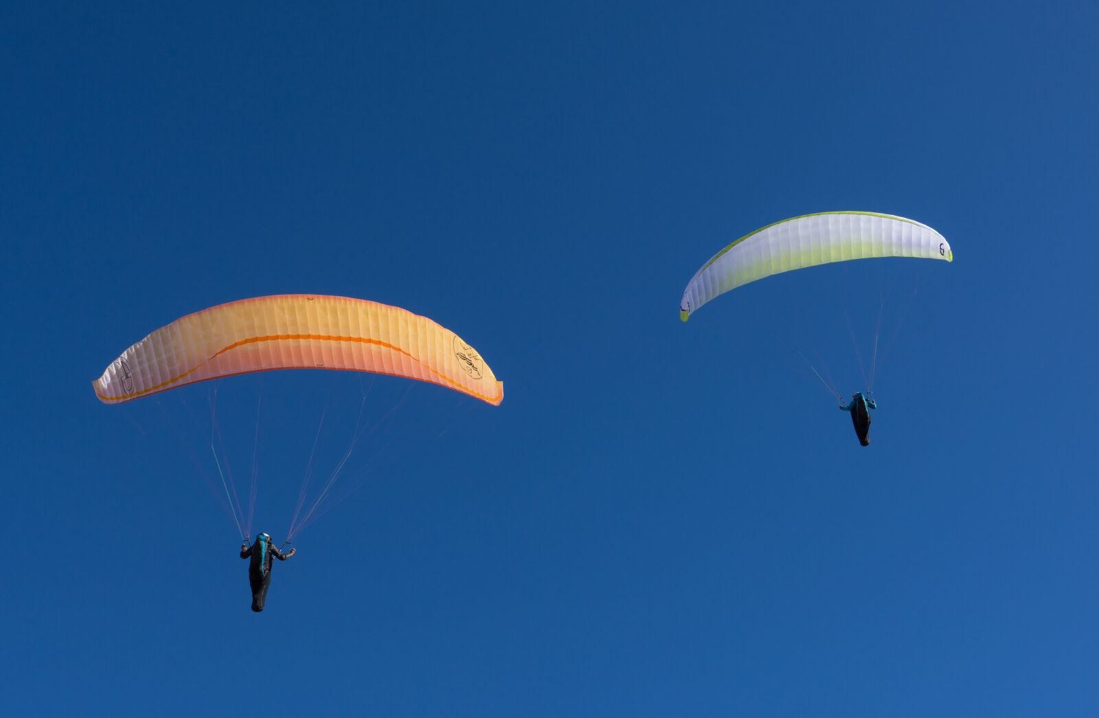 Sony a7R sample photo. Parachute, air, flight photography