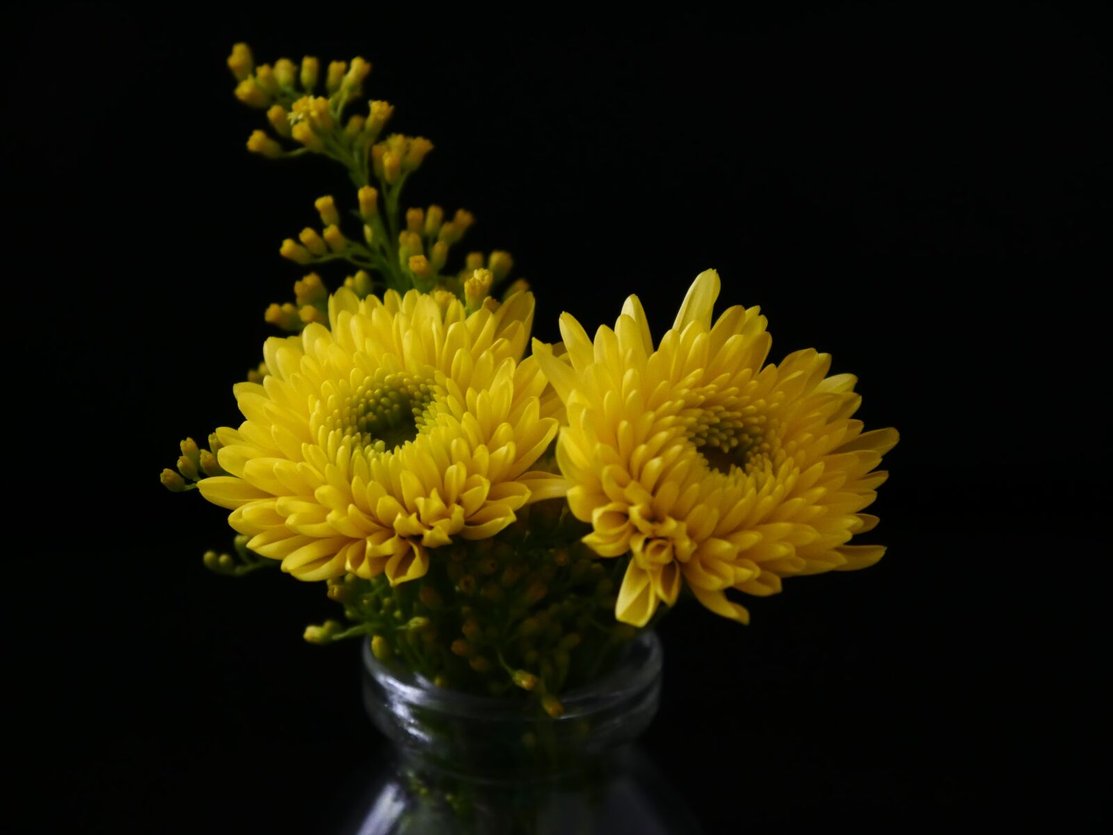 Panasonic DMC-G70 sample photo. Yellow, flower, flowers photography