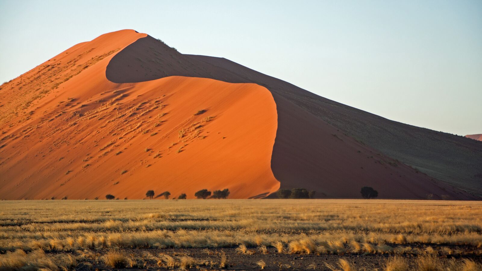 Nikon D90 sample photo. Dune, dunes, desert photography
