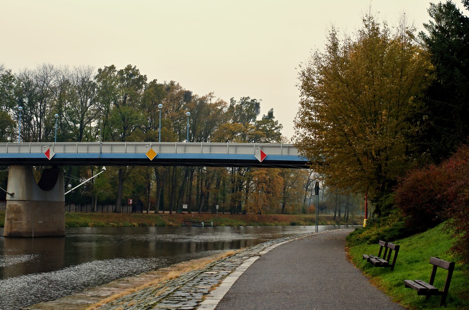 Nikon D5100 sample photo. Over, view, tree photography