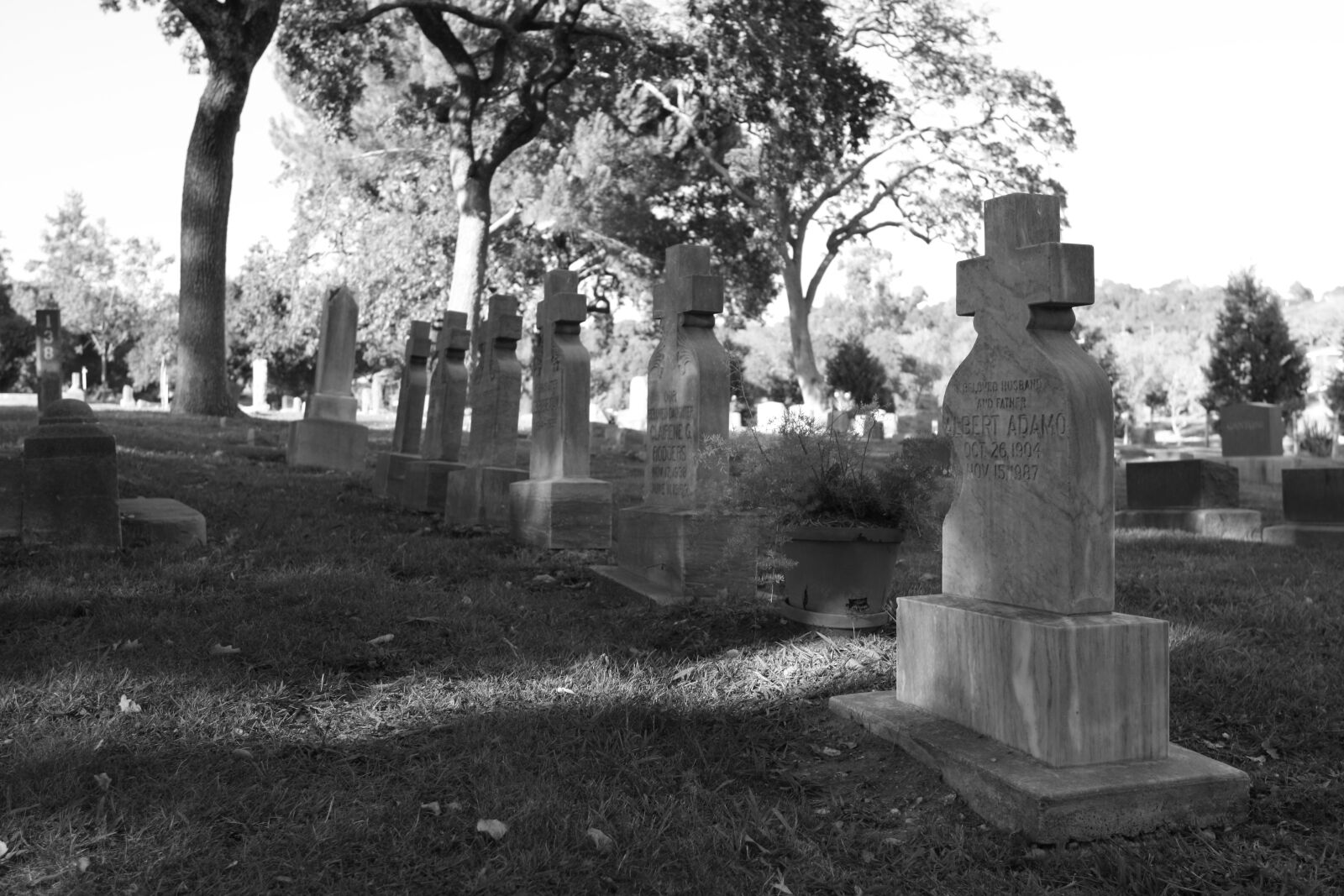 Canon EOS 450D (EOS Rebel XSi / EOS Kiss X2) sample photo. Napa, cemetery, cross photography