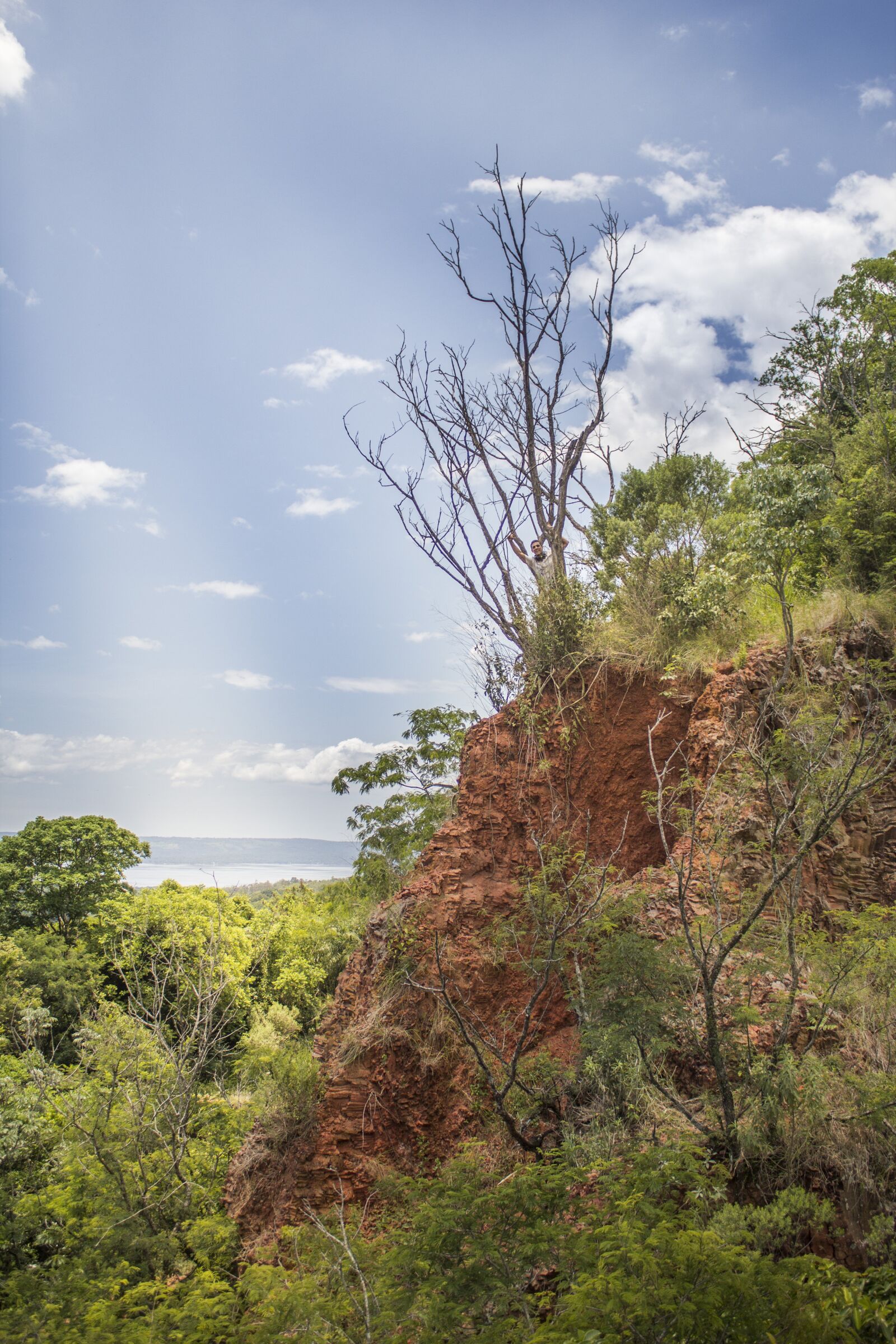 Canon EOS 600D (Rebel EOS T3i / EOS Kiss X5) sample photo. Tree, landscape, forest photography