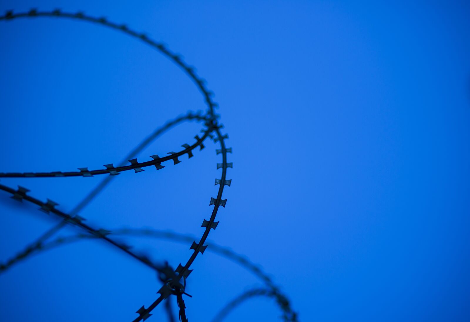 Sony Alpha DSLR-A850 + Tamron SP AF 90mm F2.8 Di Macro sample photo. No one, sky, barbed photography