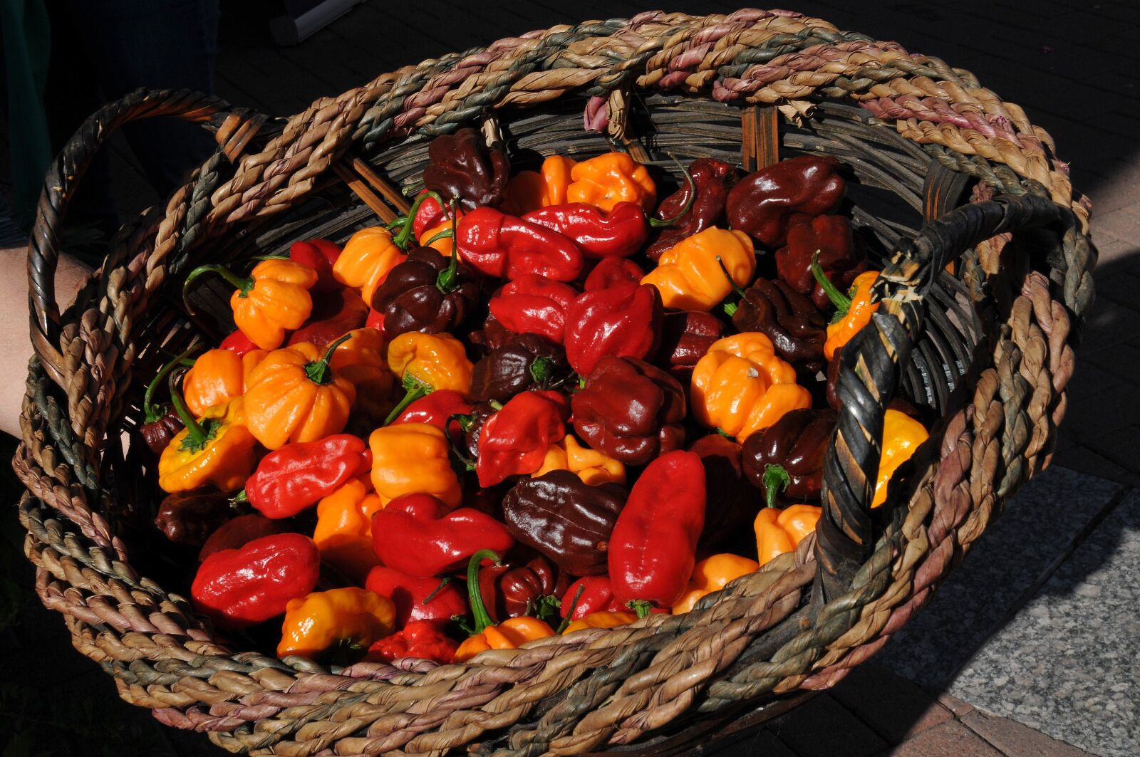 Nikon D300 sample photo. Peppers, chilis, chili peppers photography