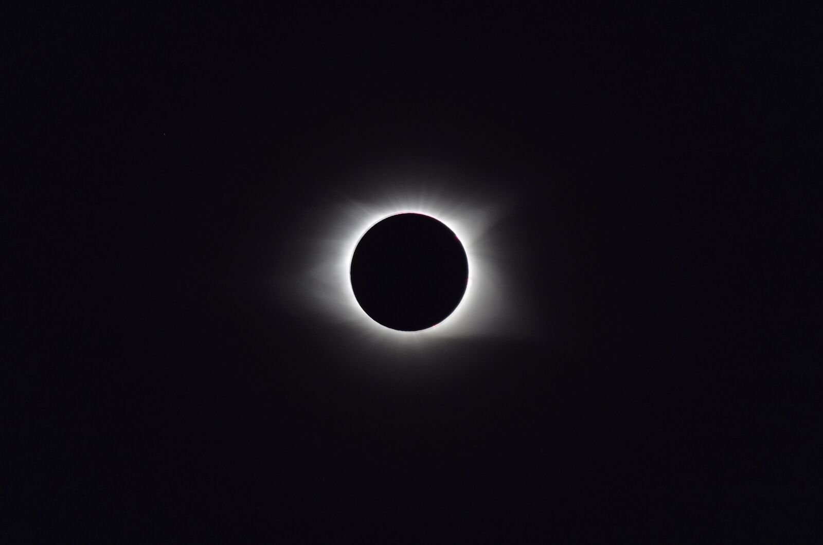 Nikon D3300 sample photo. Solar eclipse 2017, totality, 2017 photography
