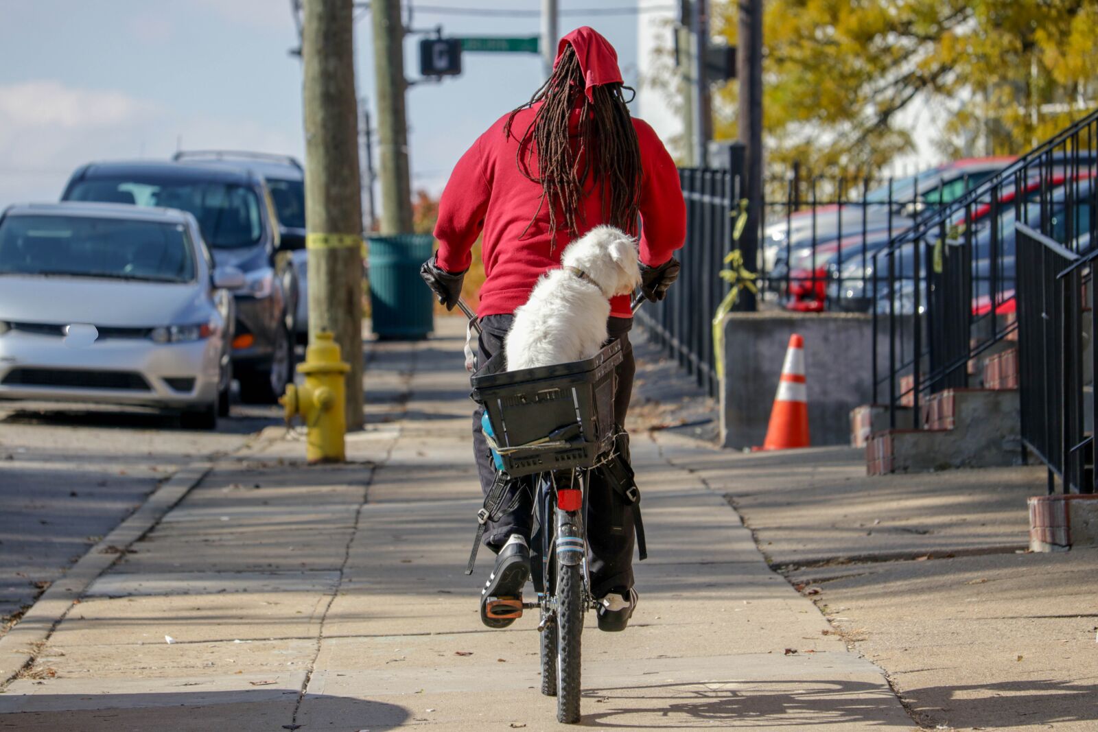 Canon EF-S 55-250mm F4-5.6 IS STM sample photo. Bike, man, dog photography