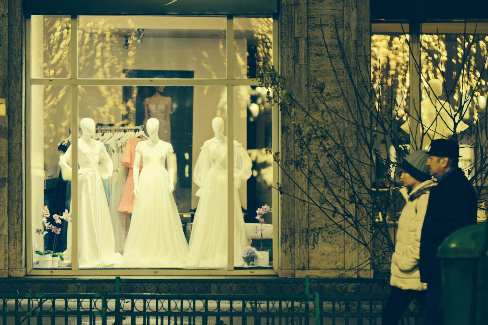 Nikon D5300 sample photo. Street, the window, facade photography