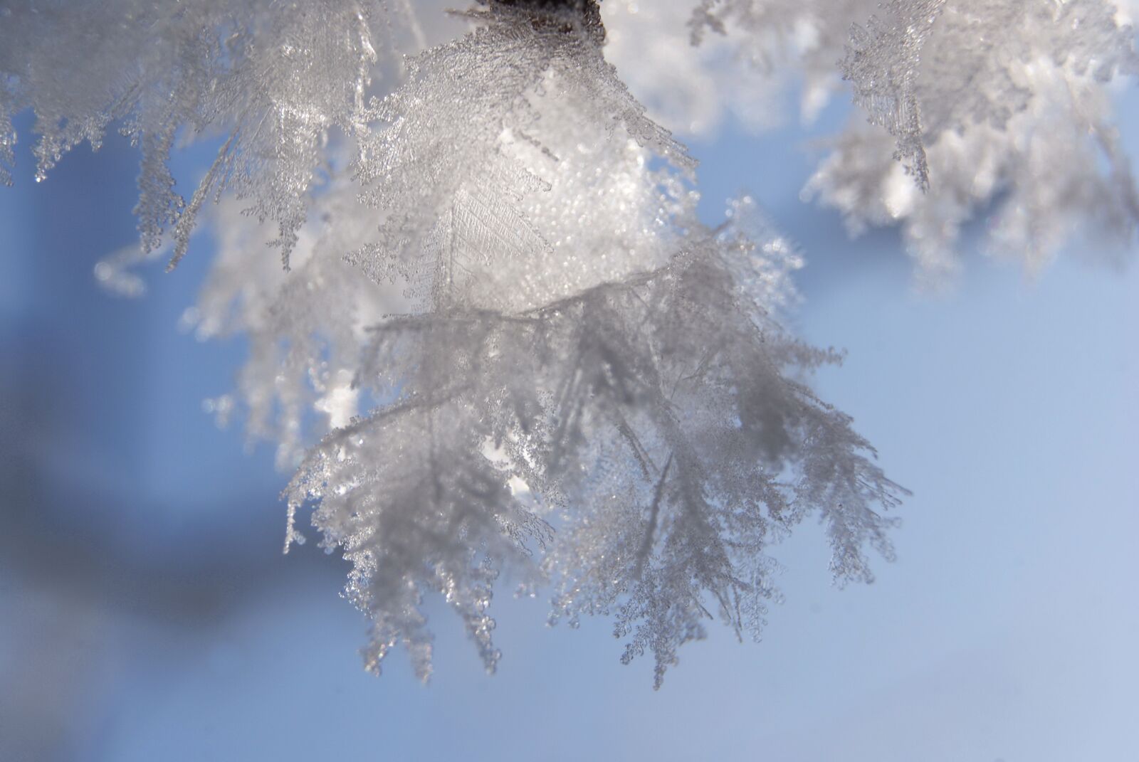 Sony Alpha DSLR-A300 sample photo. Ice, eiskristalle, snow photography