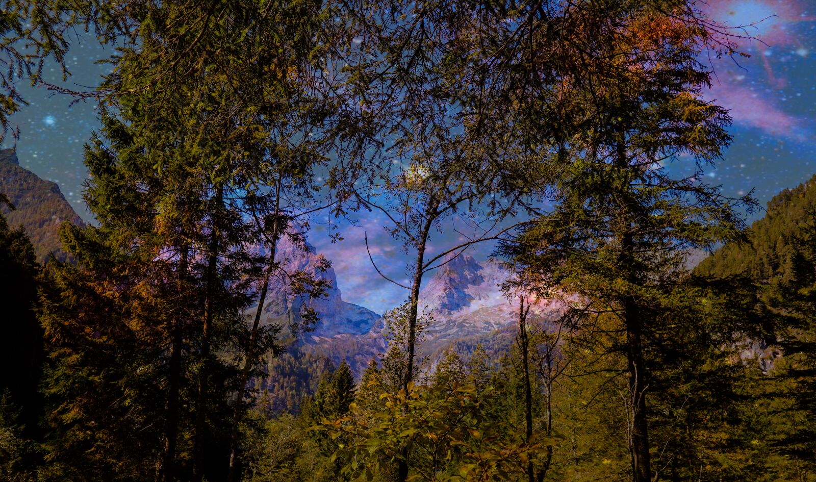 Canon EOS M100 sample photo. Forest, star, night photography