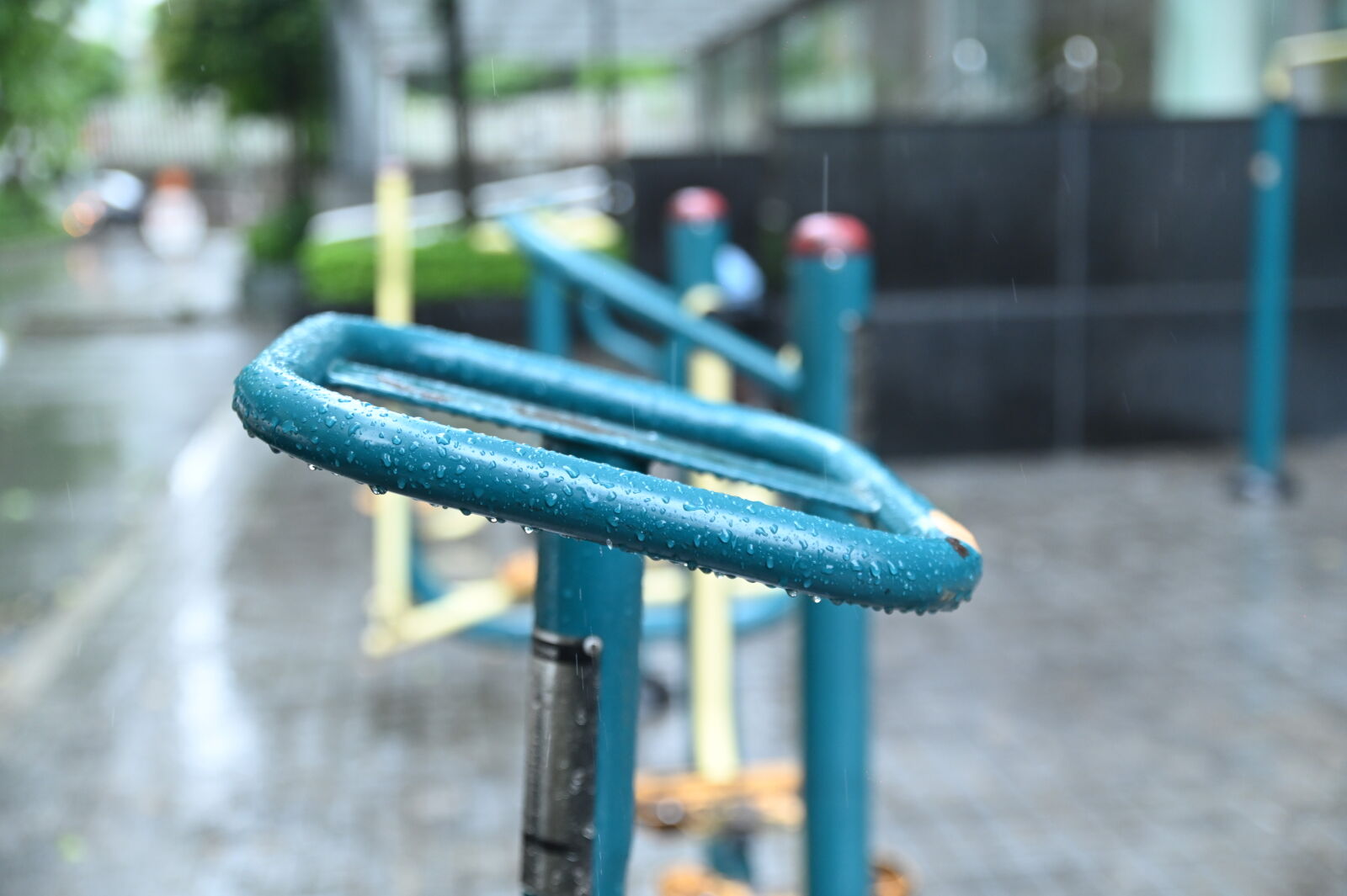 Nikon D780 sample photo