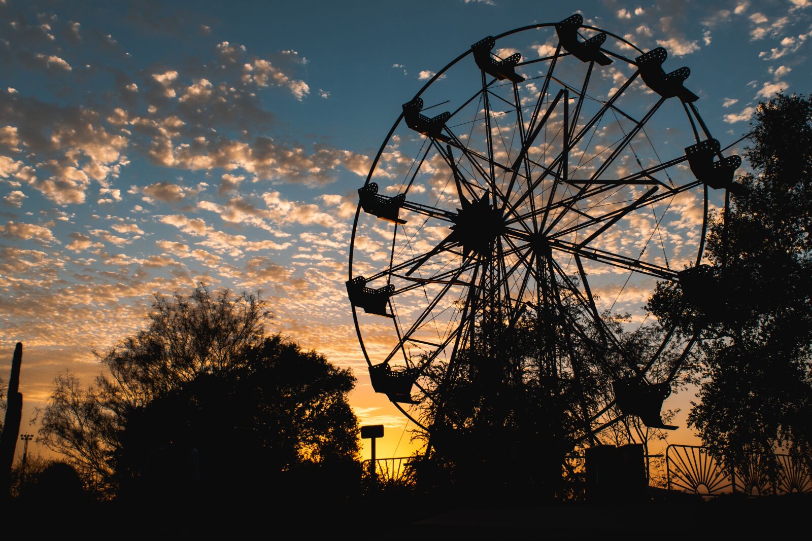 Nikon D3300 sample photo. Wheel of fortune, park photography