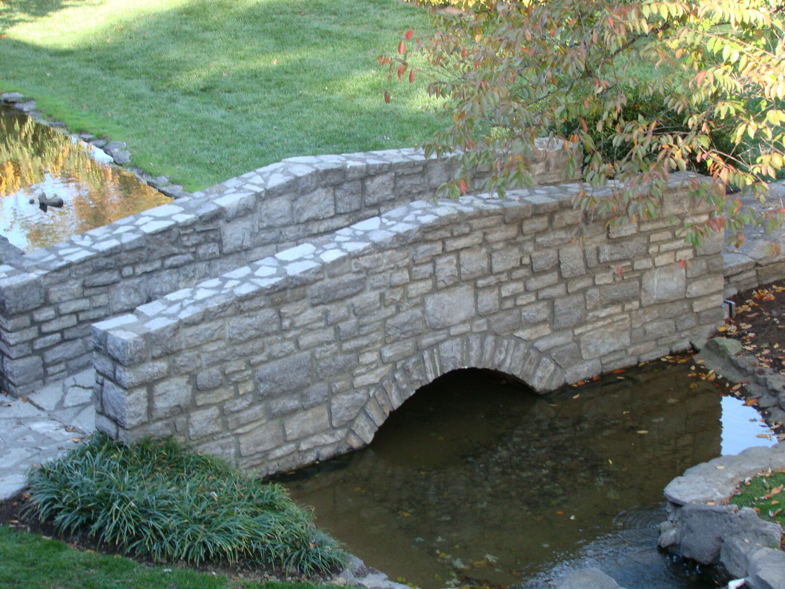 Sony Cyber-shot DSC-H50 sample photo. Bridge, fall photography