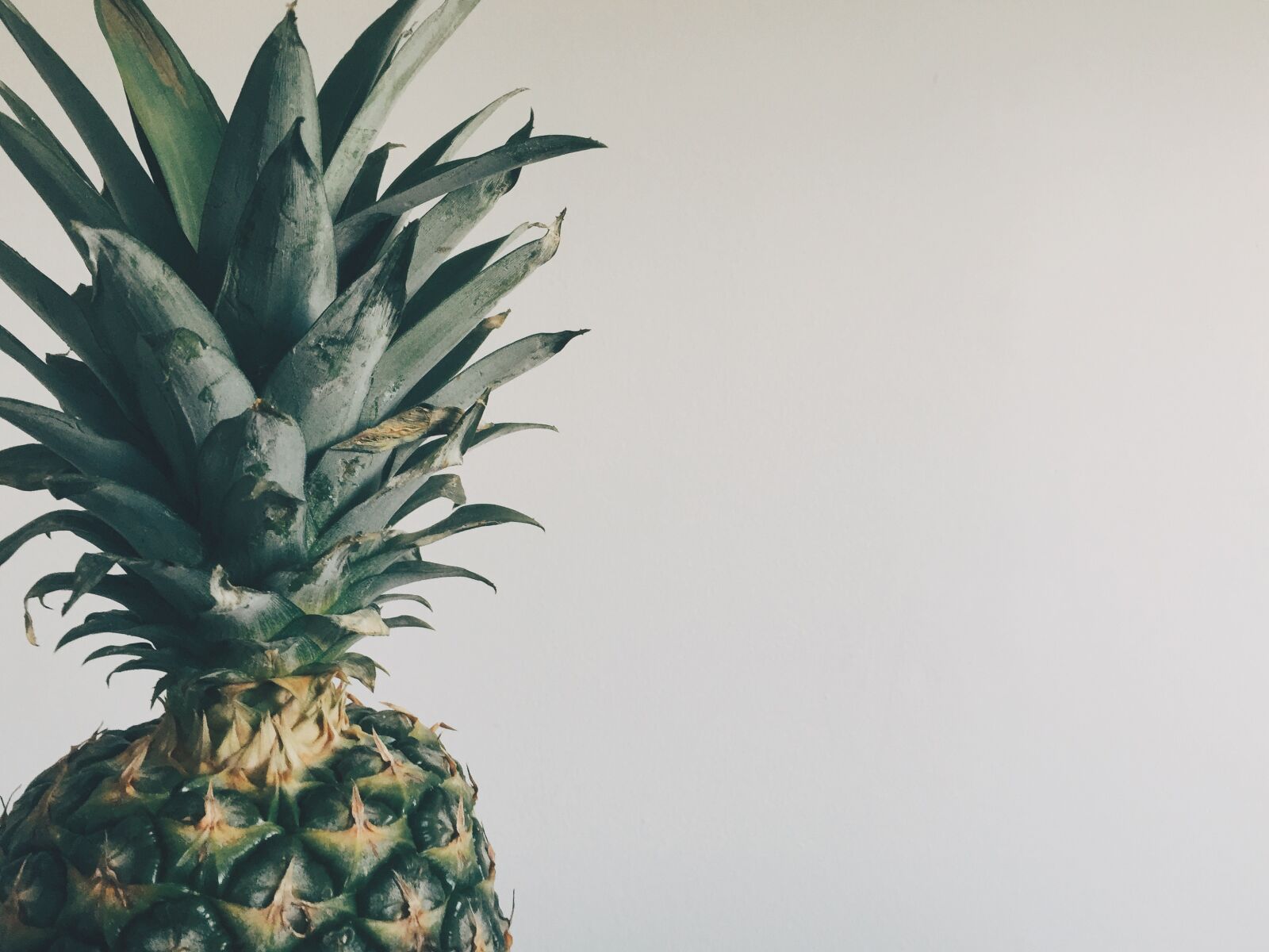 Apple iPhone 6 sample photo. Copyspace, fruit, pineapple, summertime photography
