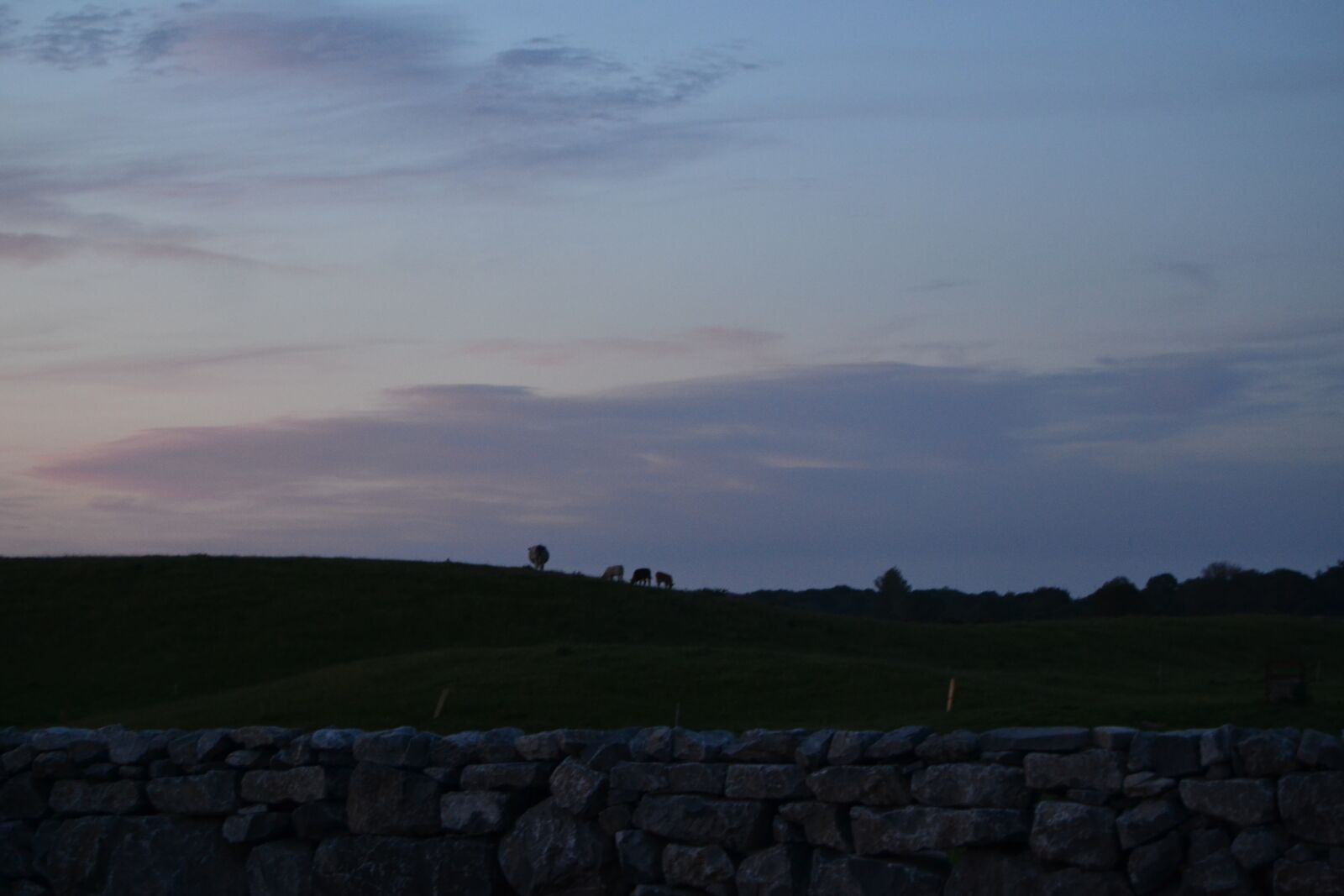 Nikon D3100 sample photo. Sunset, dramatic, nature photography