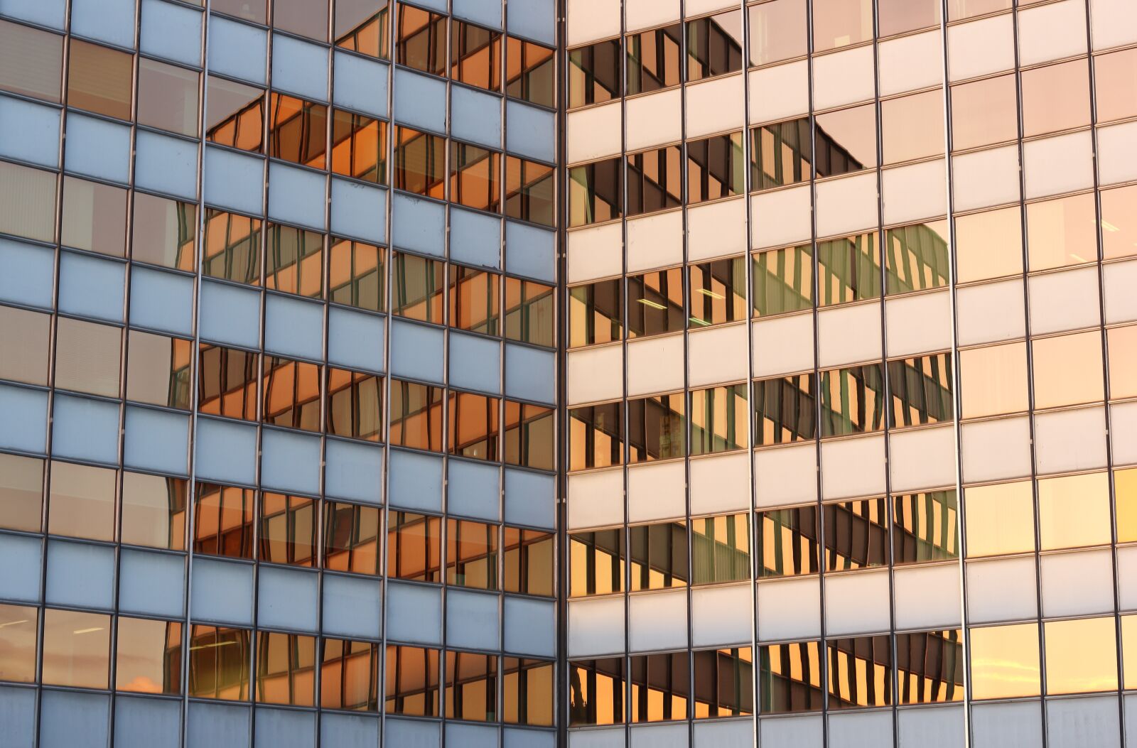 Canon EOS 550D (EOS Rebel T2i / EOS Kiss X4) sample photo. Glass items, architecture, contemporary photography