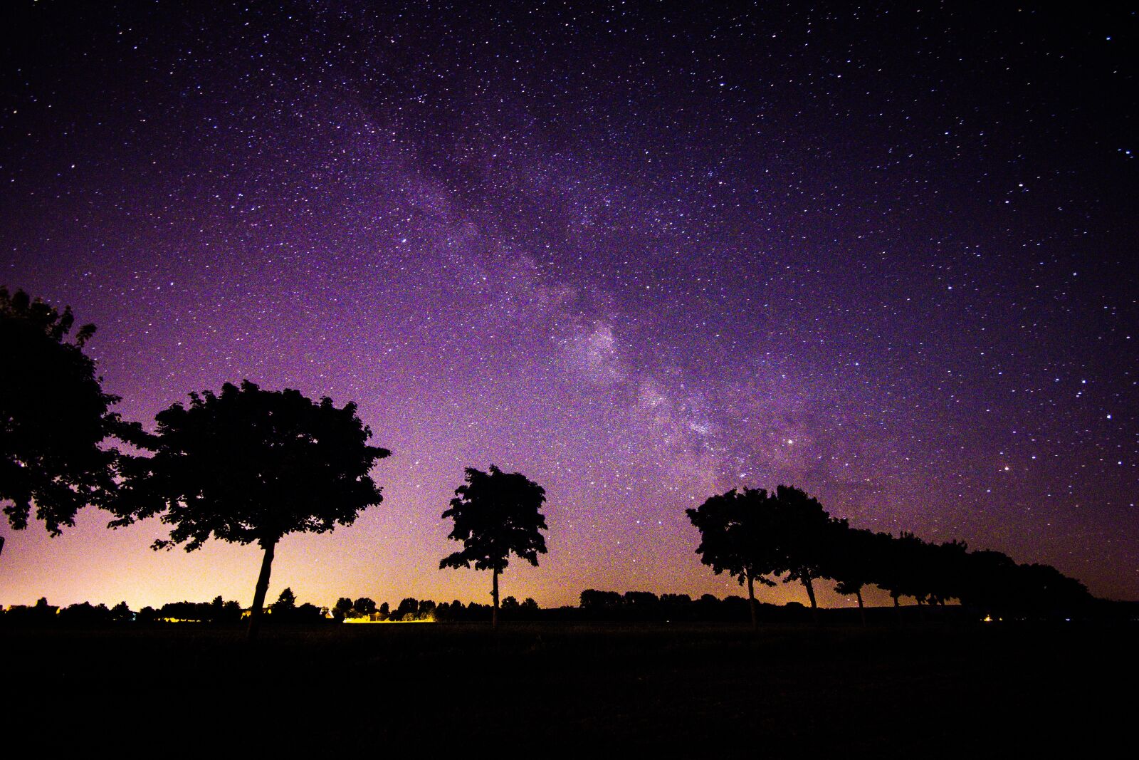 Canon EOS 600D (Rebel EOS T3i / EOS Kiss X5) sample photo. Star, milky way, trees photography