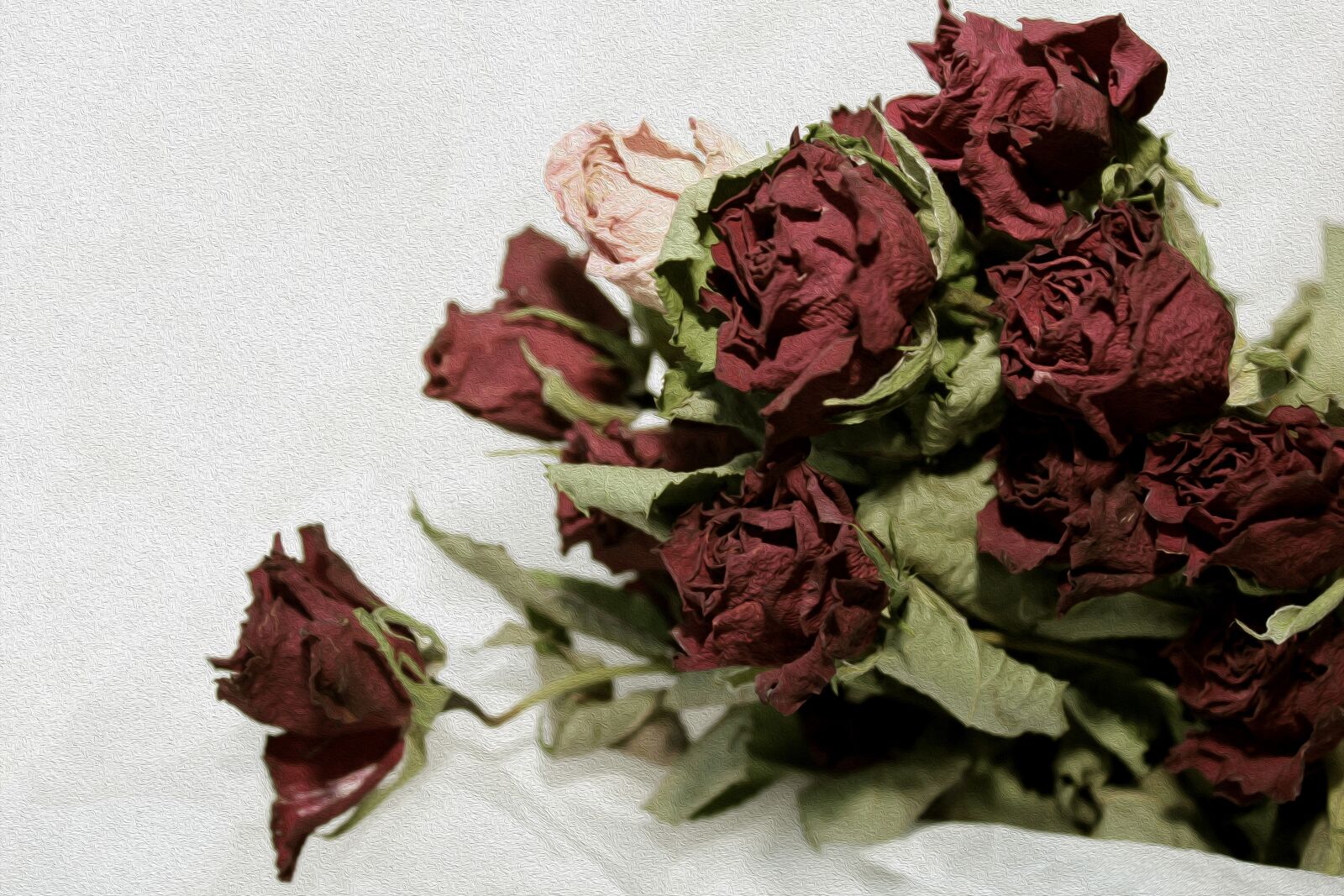 Canon EOS 600D (Rebel EOS T3i / EOS Kiss X5) sample photo. Roses, romantic, vintage photography