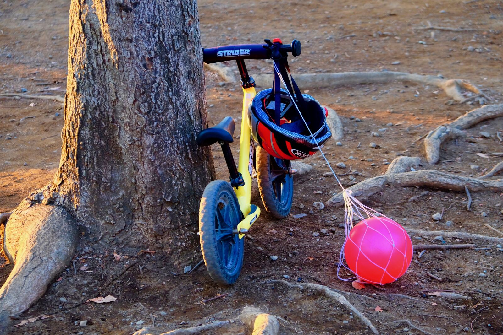 Fujifilm X-T10 sample photo. Children, bicycle, evening photography