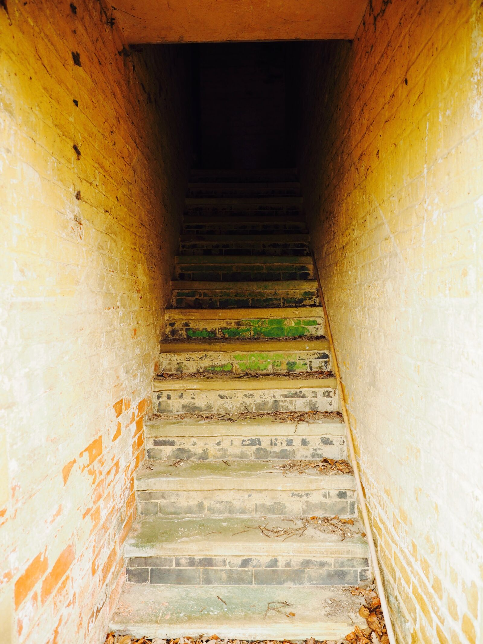 Olympus OM-D E-M1 sample photo. Theme, staircase photography