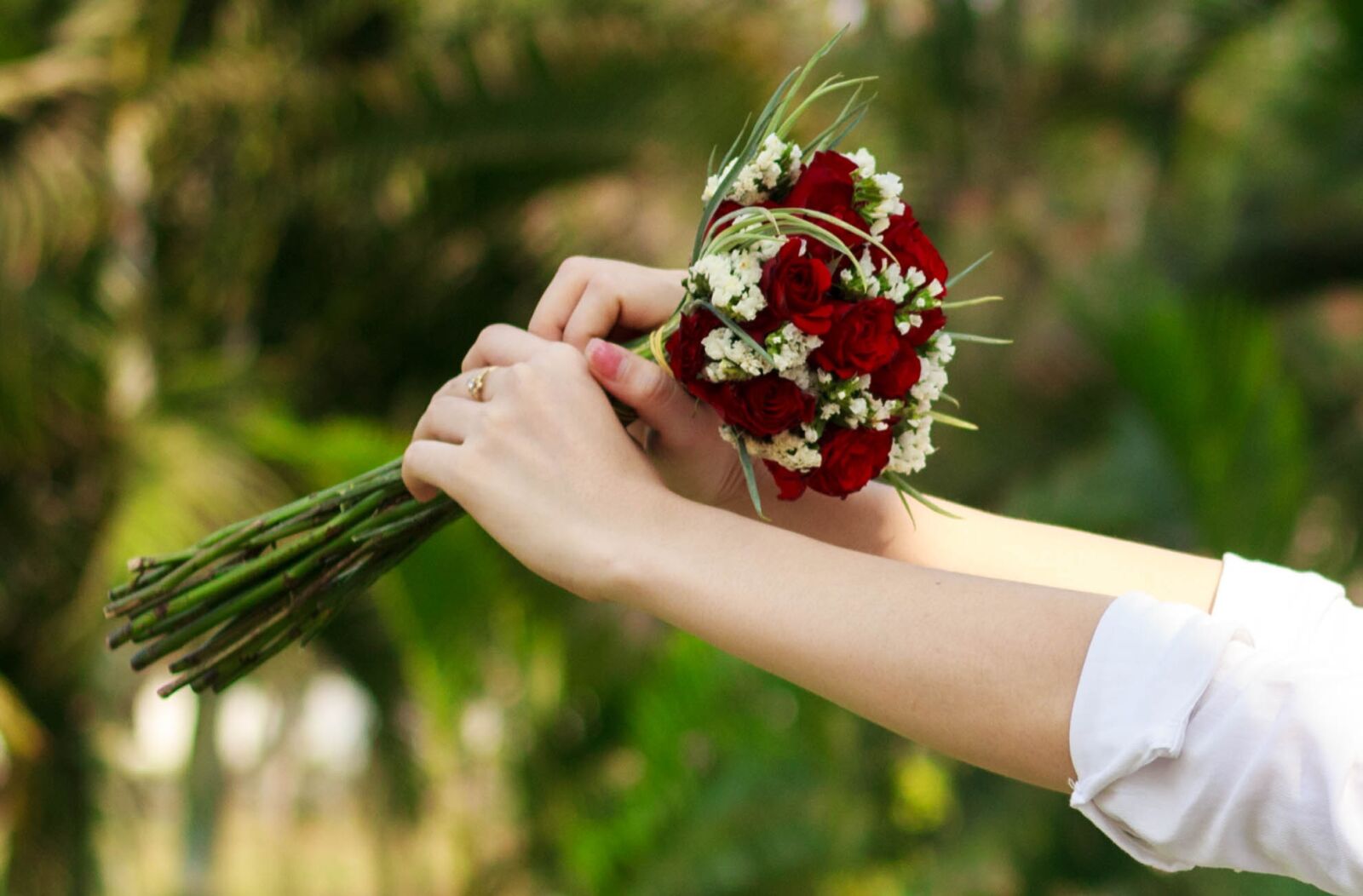 Canon EOS 600D (Rebel EOS T3i / EOS Kiss X5) + Canon EF 50mm F1.8 STM sample photo. Flower, hand, woman photography