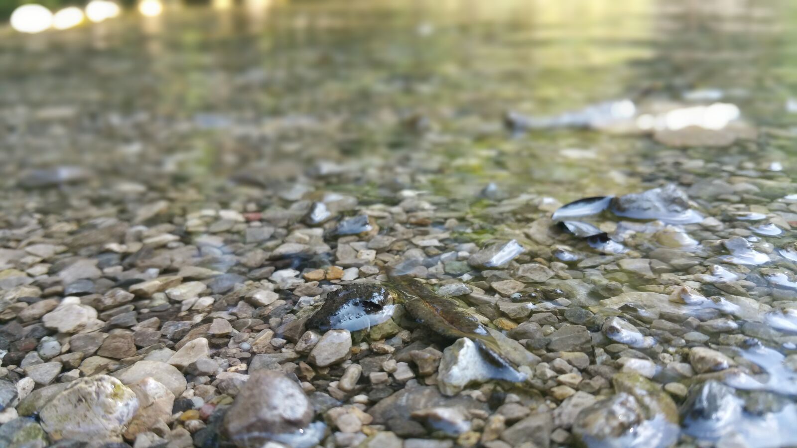 Samsung Galaxy Note4 sample photo. Water, rhinestones, stones photography