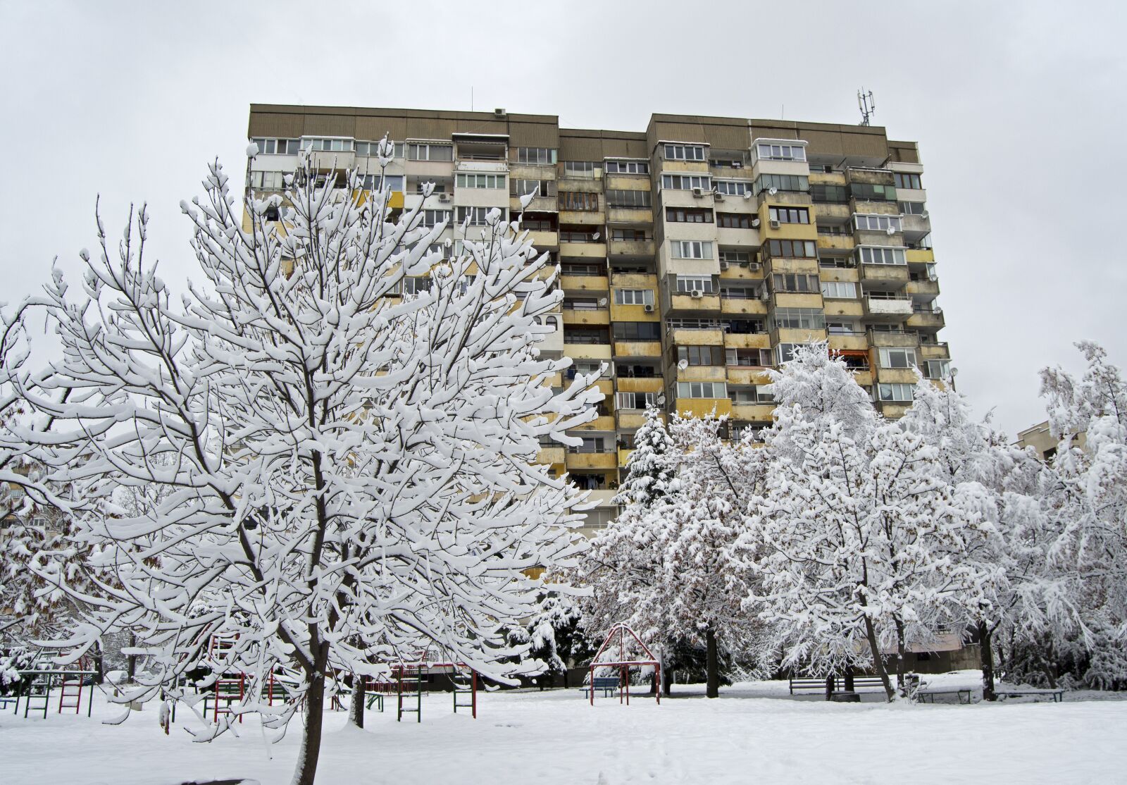 Nikon D5100 sample photo. Fresh snow, white, flocked photography