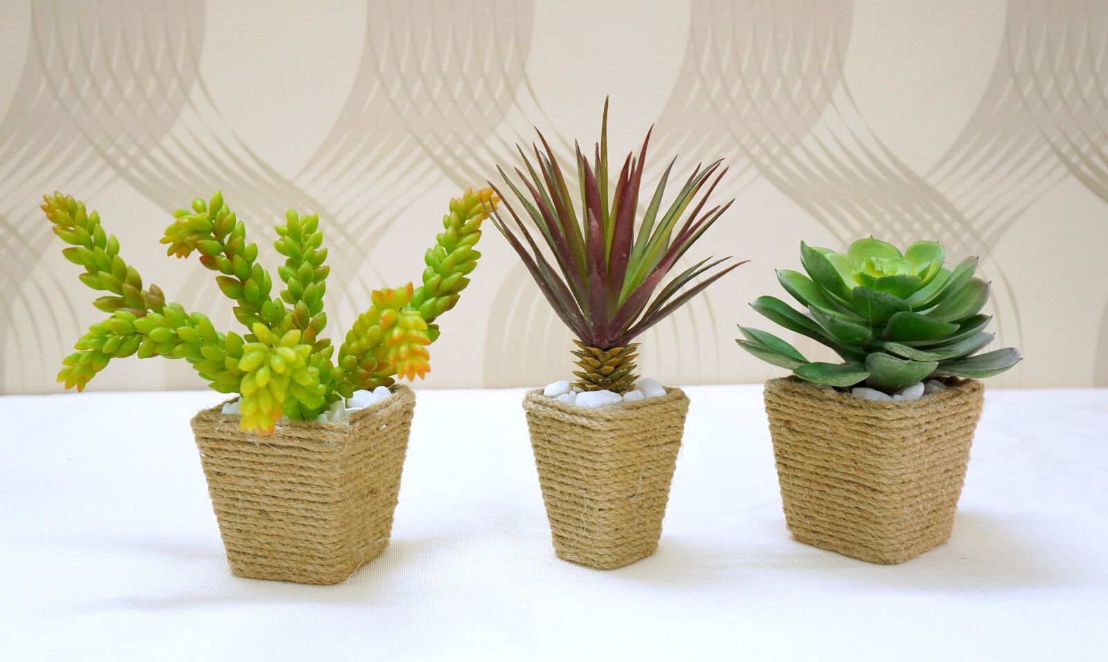 Sony Alpha NEX-F3 + Sony E 18-55mm F3.5-5.6 OSS sample photo. Object, decorate, craft photography
