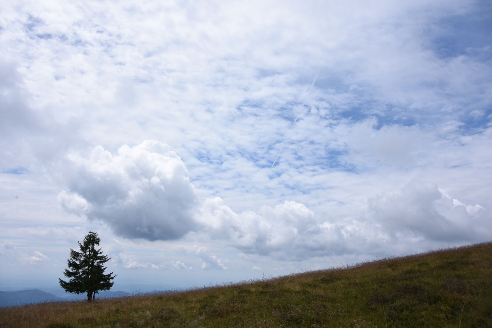 Nikon D7200 sample photo. Clouds, tree, landscape photography