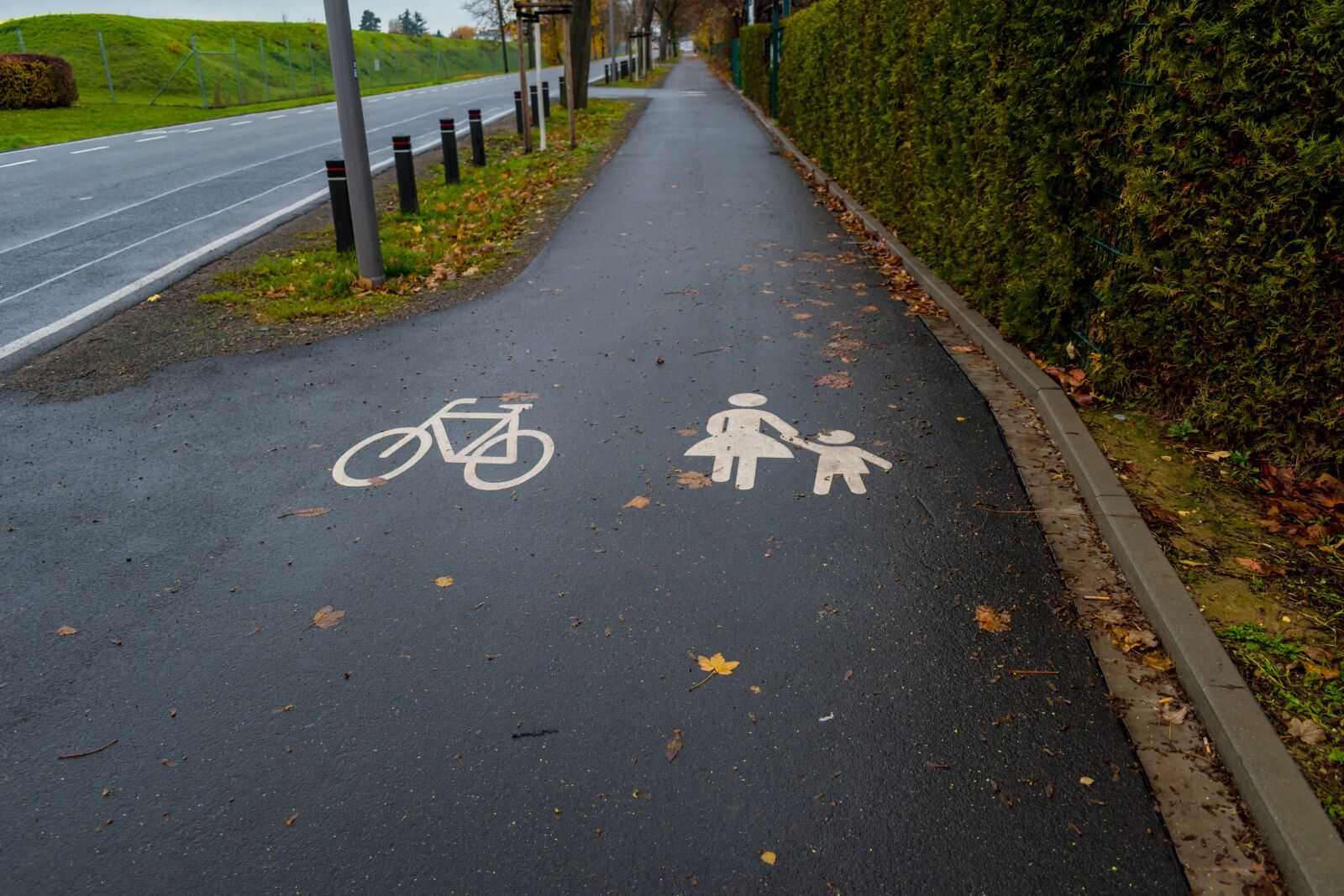 Nikon D5600 sample photo. Street, sidewalk, urban photography