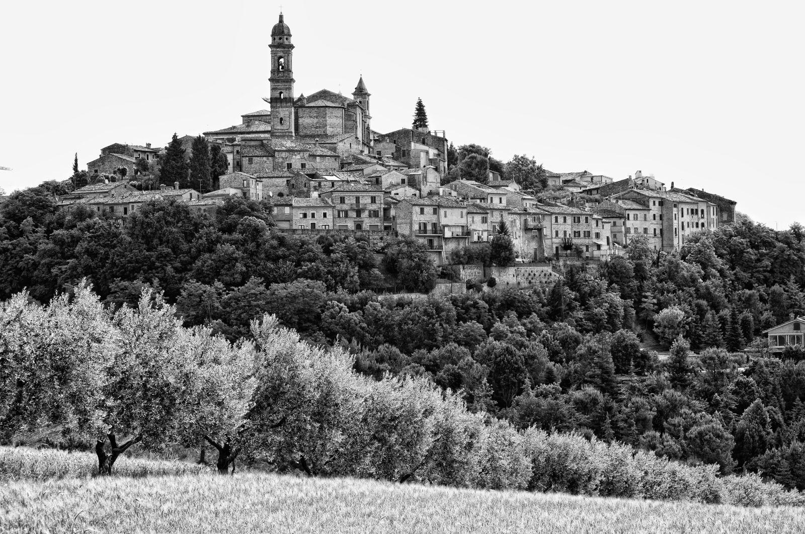 Nikon D60 sample photo. Architecture, nature, travel photography