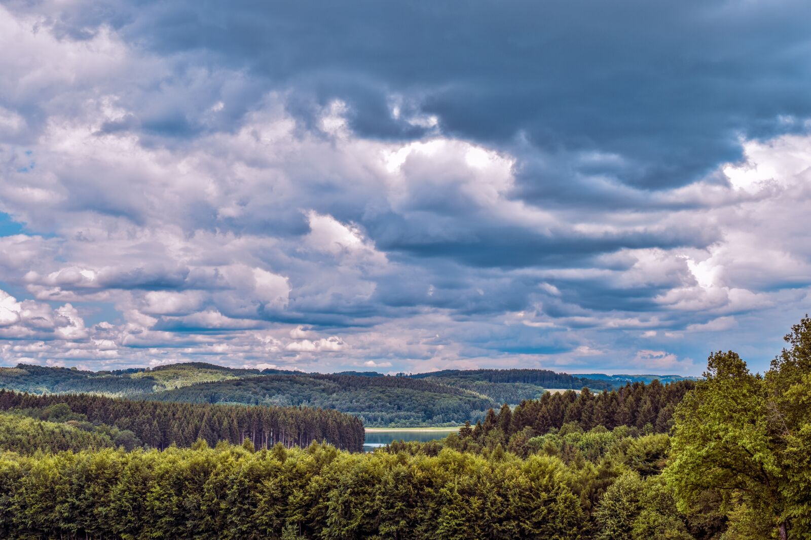 Nikon D3300 sample photo. Landscape, forest, nature photography