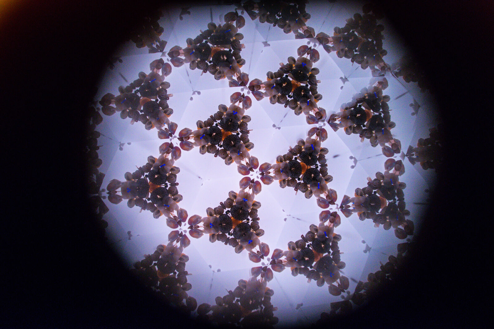 Nikon D5300 sample photo. Kaleidoscope, mirror, night, pattern photography