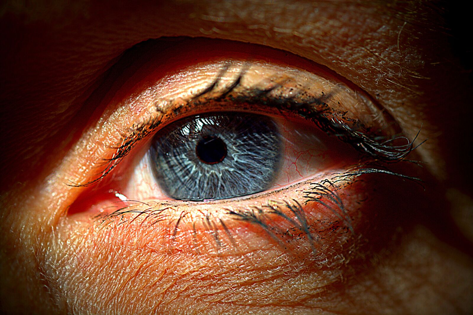 Nikon D5200 sample photo. Eye, blue, eyelashes photography