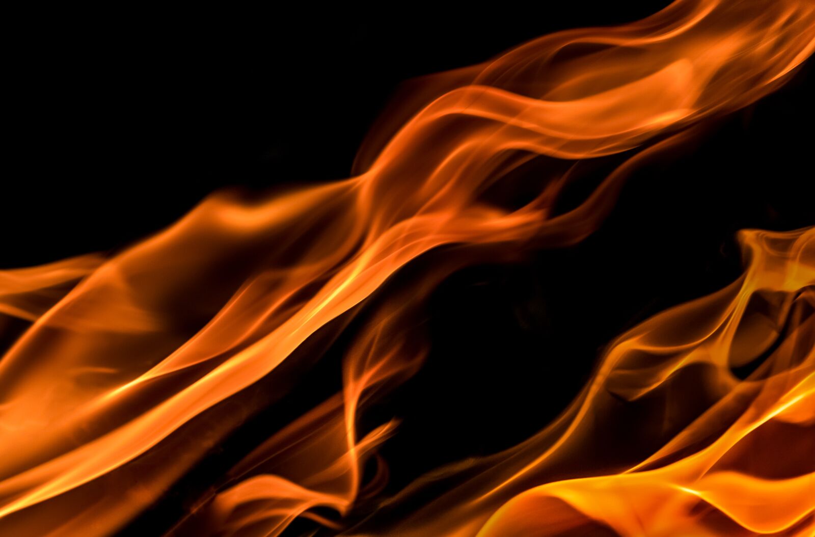 Nikon D610 sample photo. Flames, black, red photography