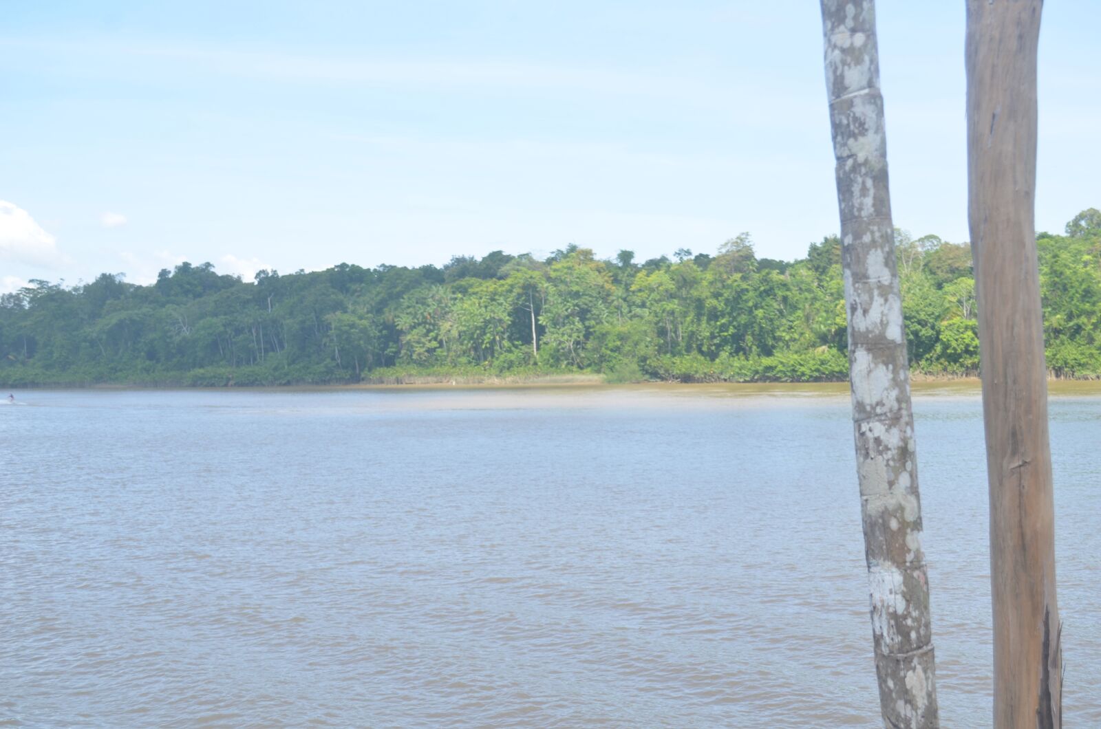 Nikon D5100 sample photo. Amapá, flora, mazagan photography