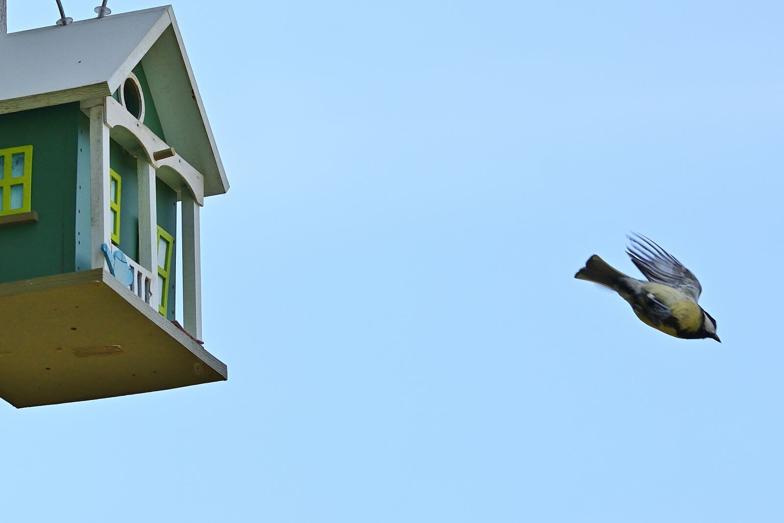 Nikon D5200 sample photo. Garden, aviary, tit photography