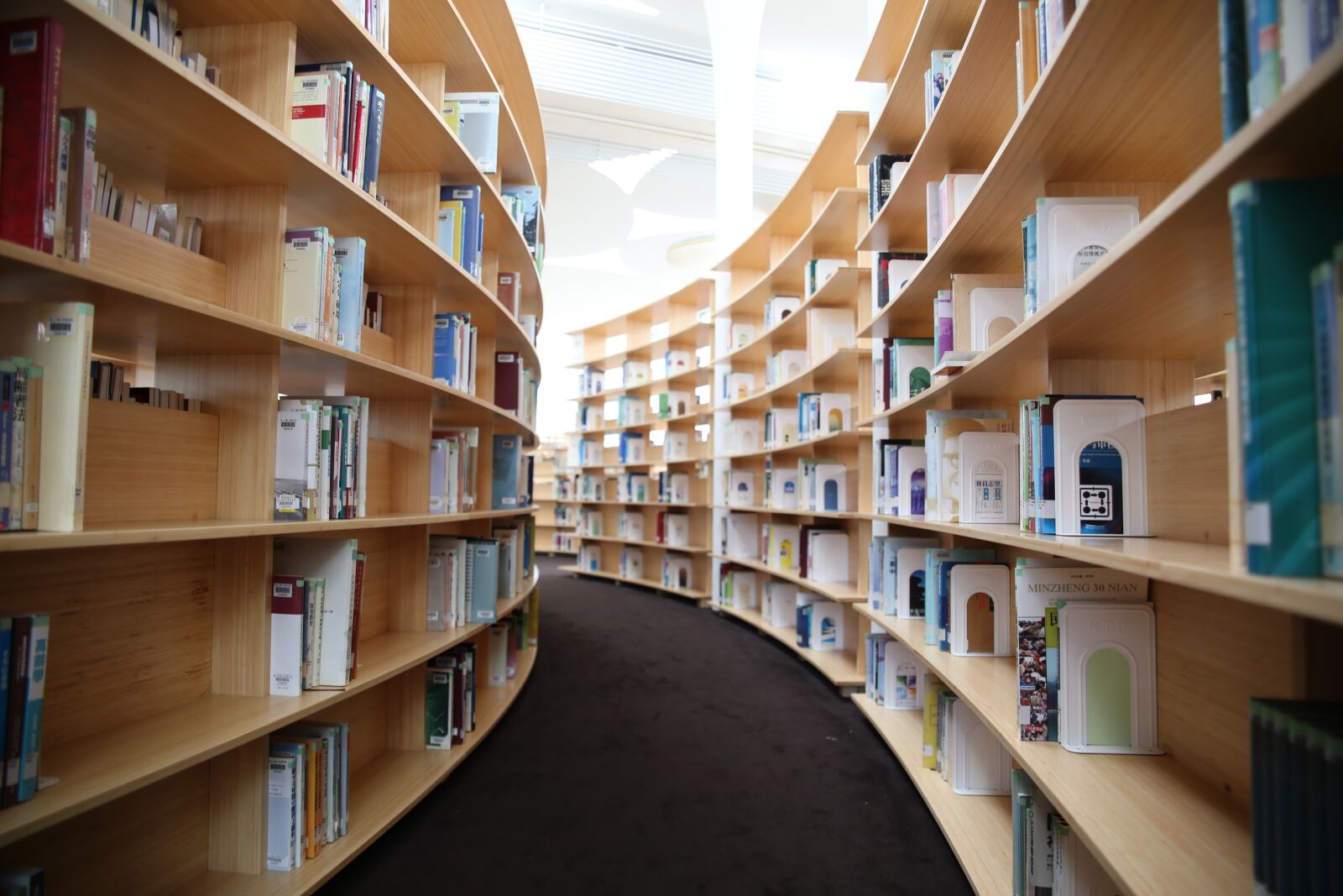 Canon EOS 6D sample photo. Library, national taiwan university photography
