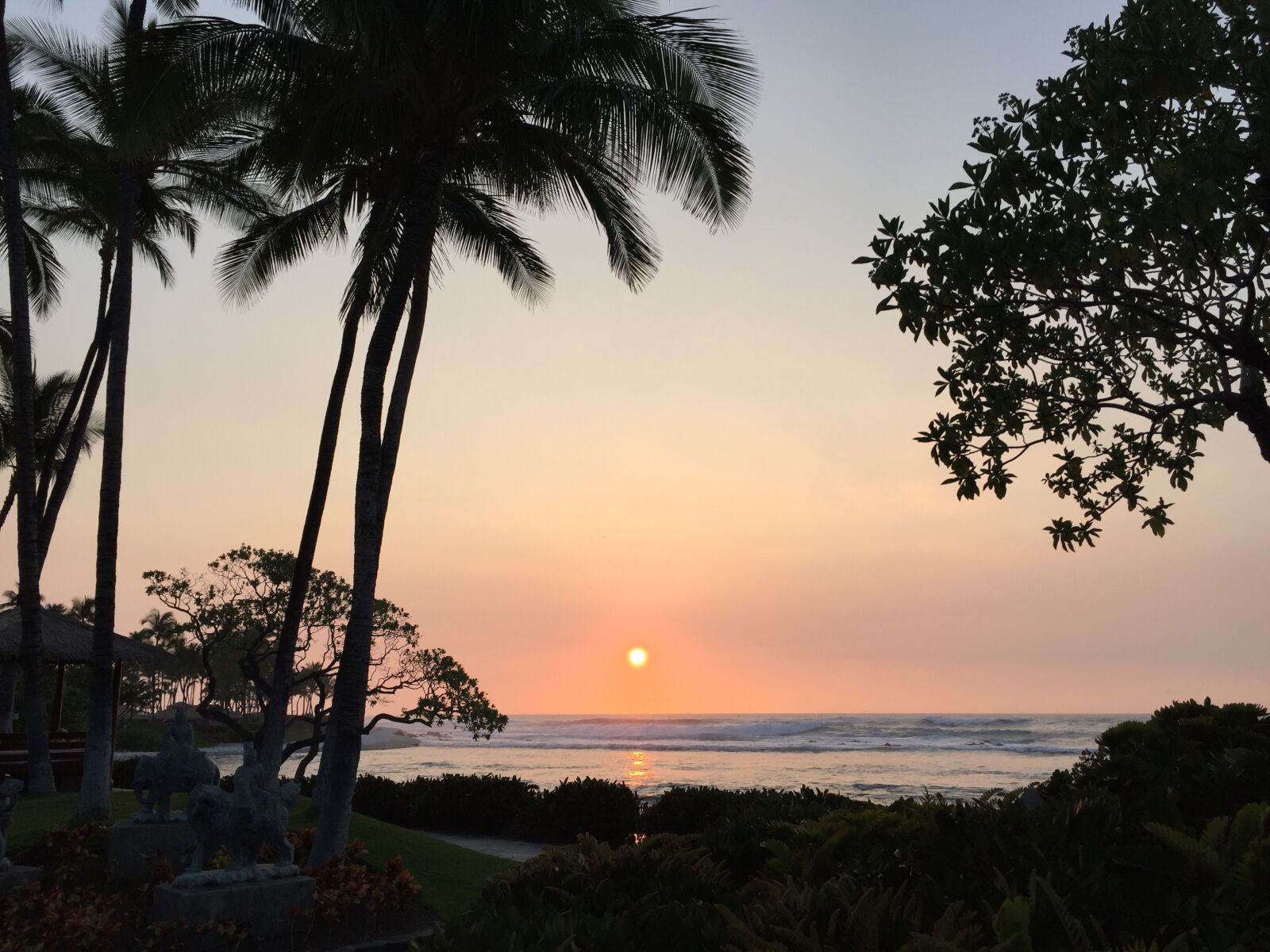 iPhone 6 back camera 4.15mm f/2.2 sample photo. Sunset, hawaii, palm trees photography