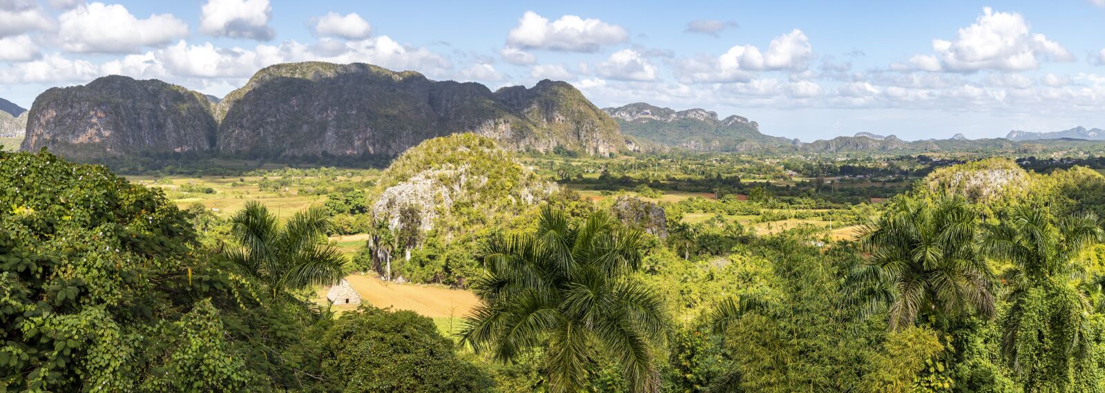 Canon EF 24-105mm F4L IS II USM sample photo. Cuba, province, pinar del photography