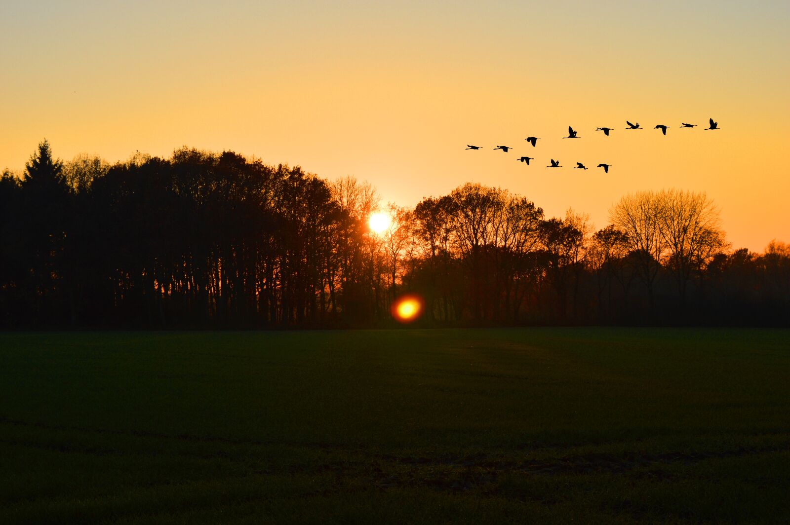 Nikon D3200 sample photo. Sunset, nature, landscape photography