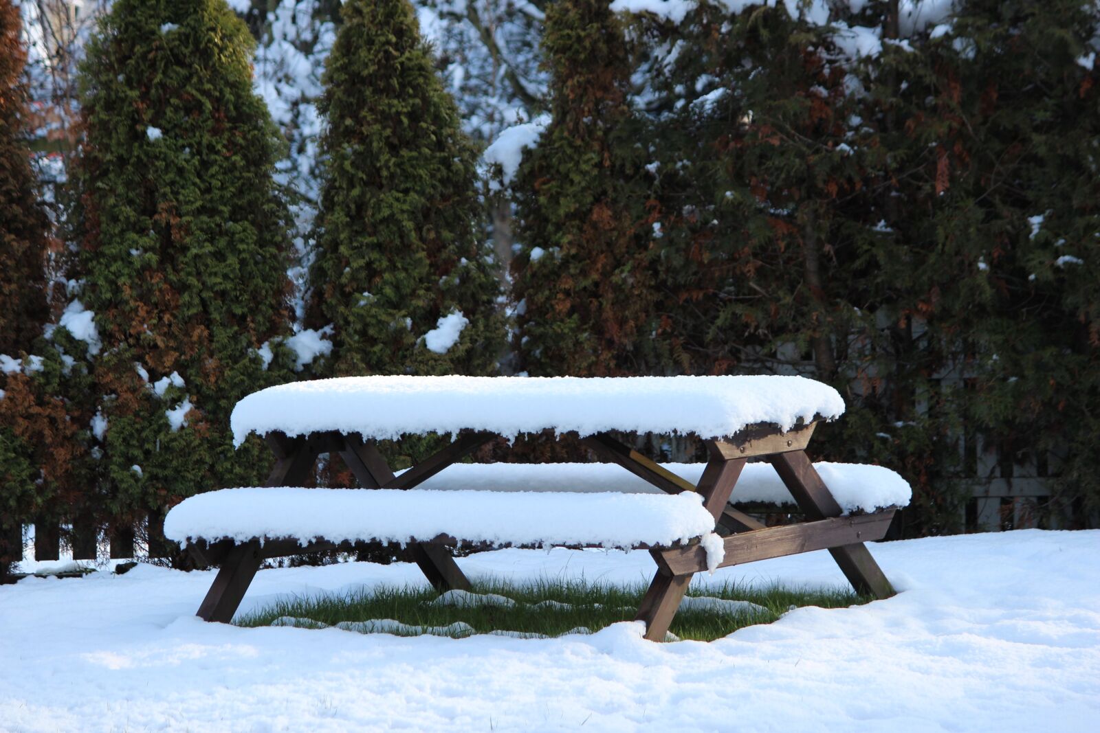 Canon EOS 600D (Rebel EOS T3i / EOS Kiss X5) sample photo. Bank, snow, white photography