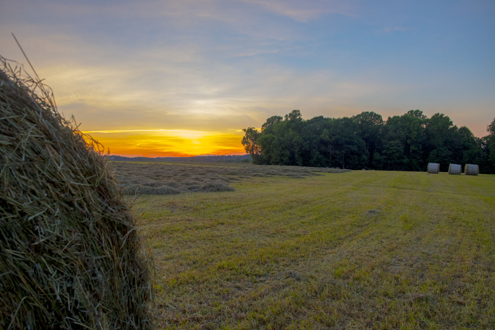 Nikon D500 sample photo. Maryland, farm, sunset photography