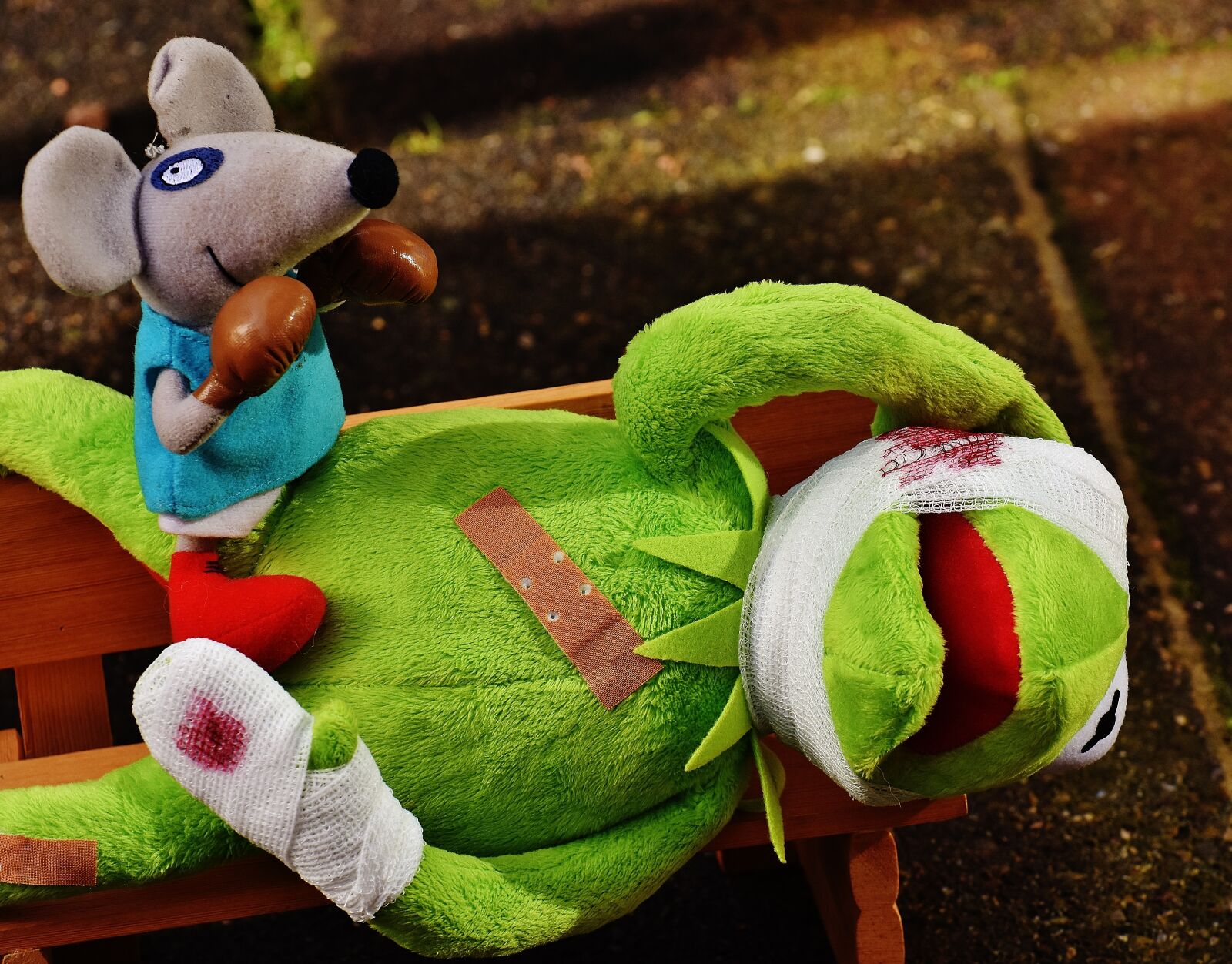 Nikon D7200 sample photo. Kermit, mouse, stuffed animal photography