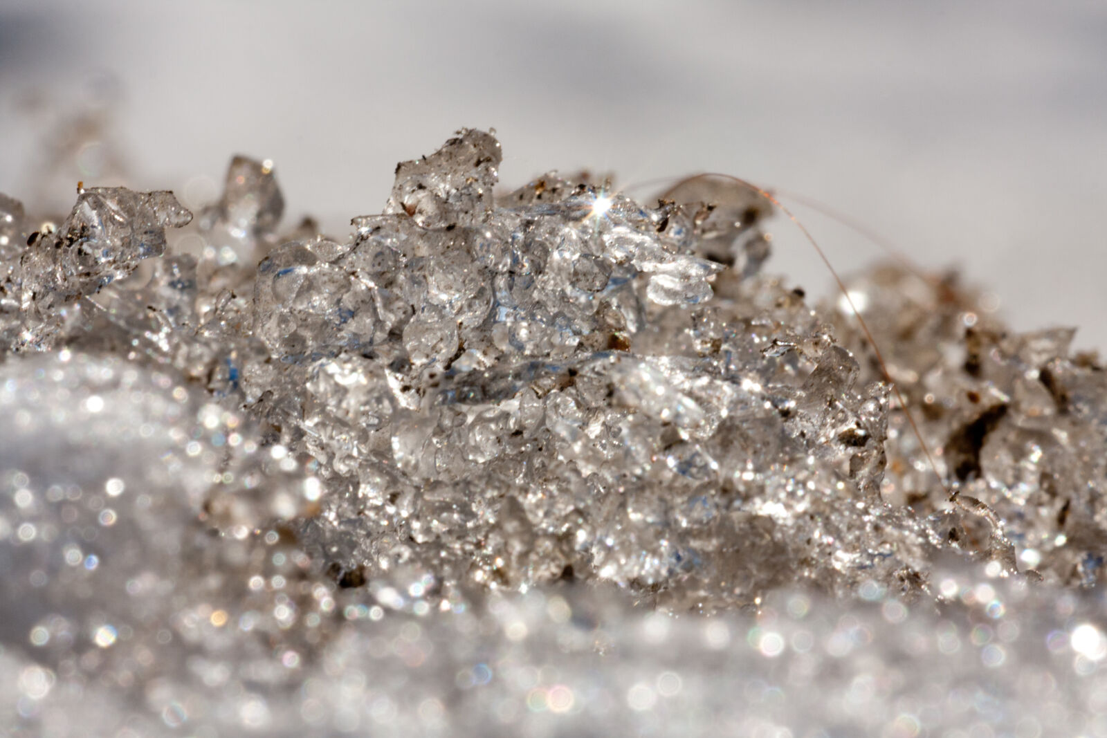 Canon EF 180mm F3.5L Macro USM sample photo