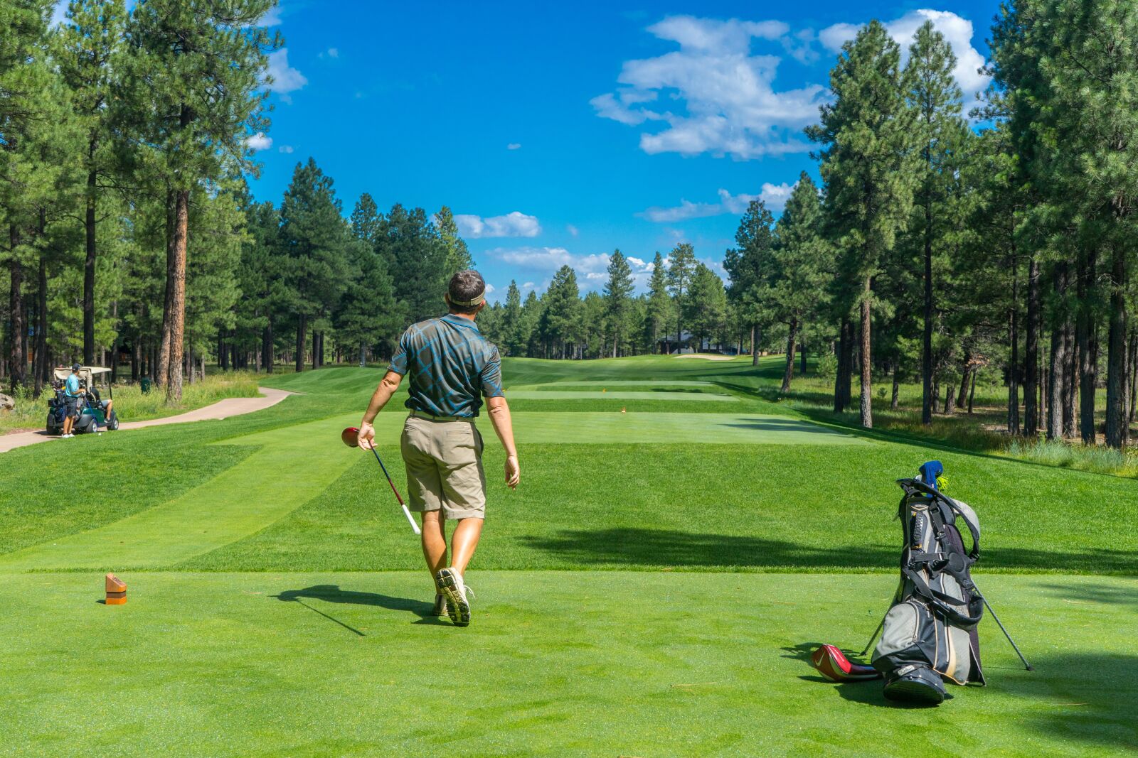 Sony a7 + Sony FE 28-70mm F3.5-5.6 OSS sample photo. Golfer, golf, course photography