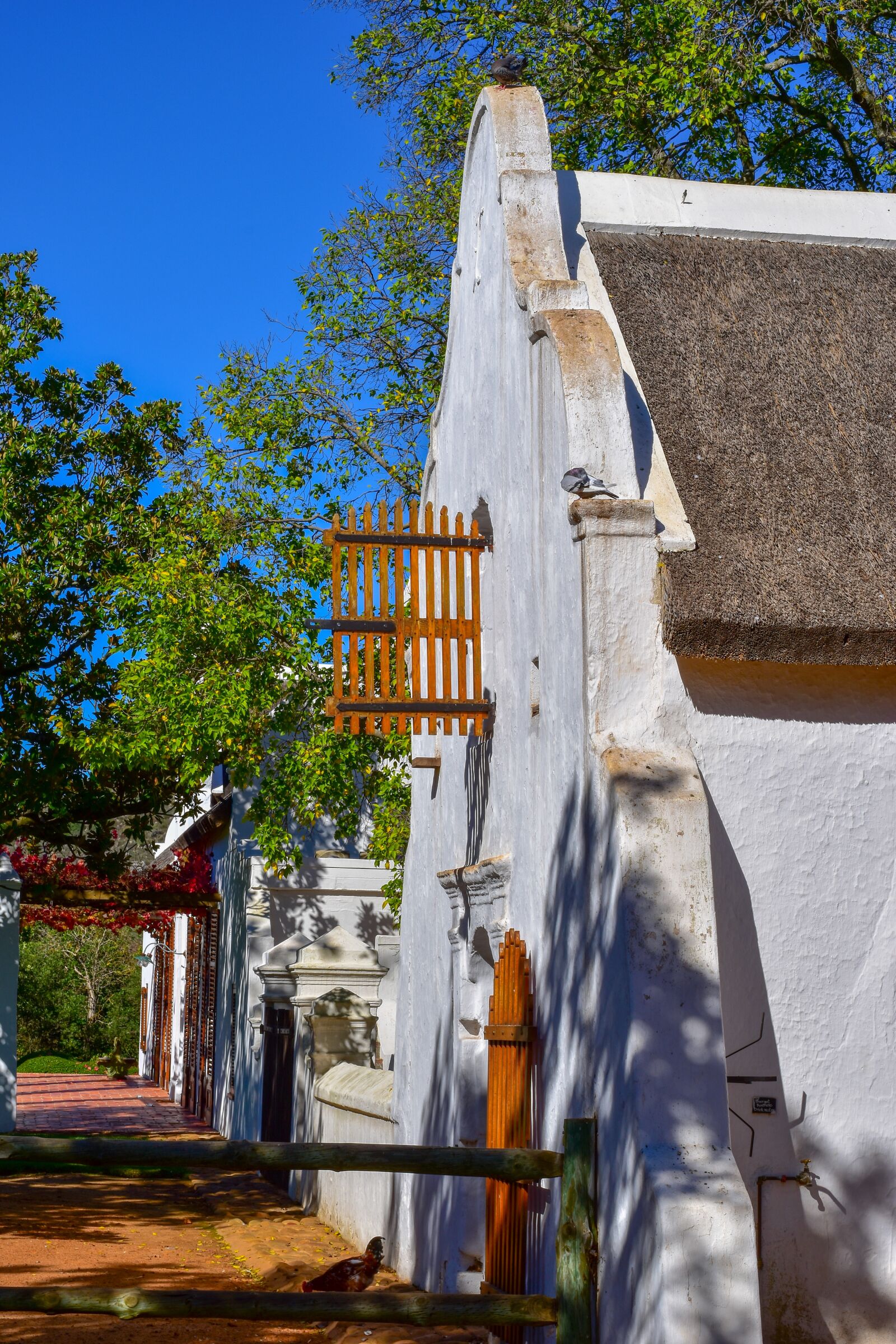 Nikon D5500 sample photo. Farm house, wine farm photography
