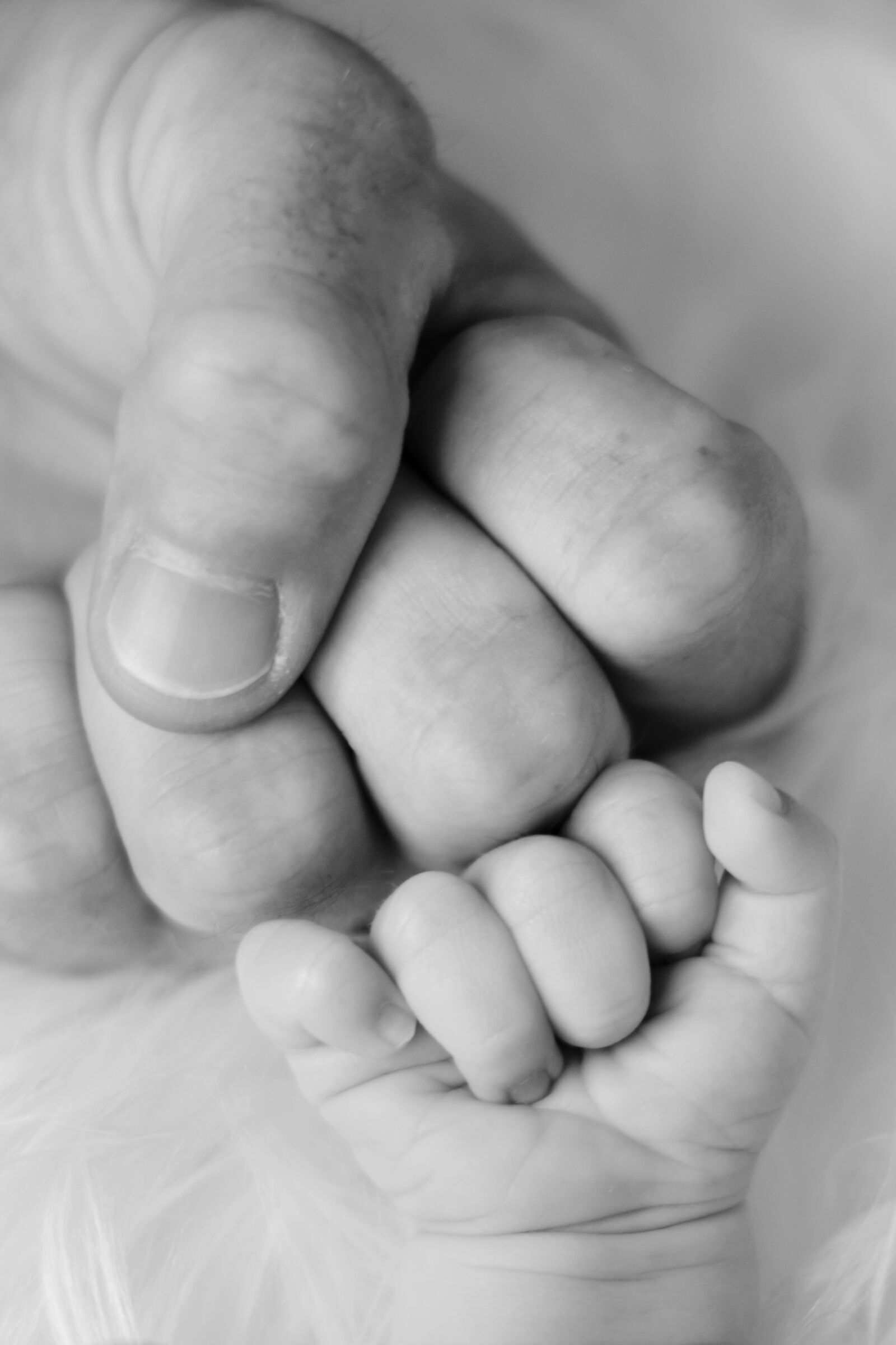 Nikon D5200 sample photo. Baby, father, son photography